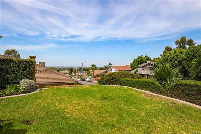 Backyard lawn and view